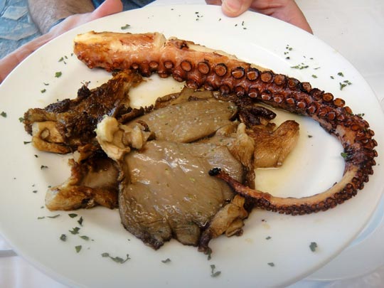  ALBERT BARBARÀ [El Vendrell-Tarragona] _ efectos de la marea negra en eeuu 