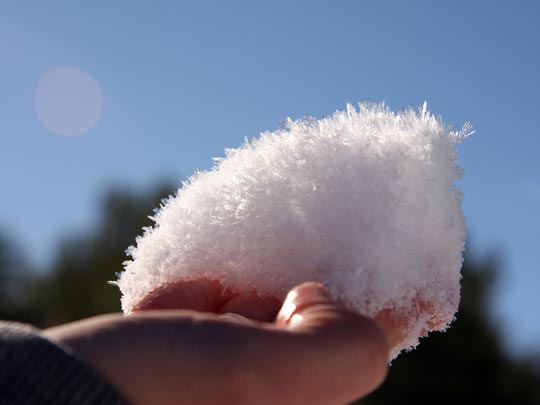  PILAR  CONDE [Orihuela-Alicante] _ efímero 