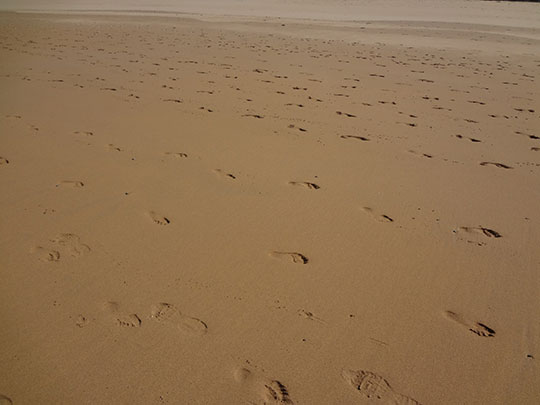  ARIANA SANTAMARIA [Villaviciosa-Asturias] _ el día en que la humanidad se extinguió de golpe 