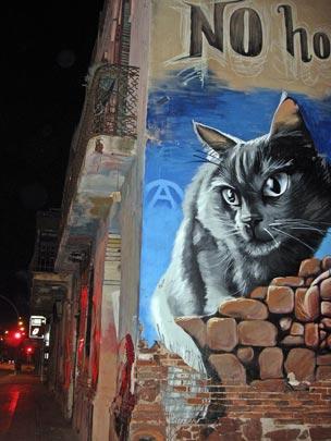  NEKANE VITORIA [Vitoria-Gasteiz-Álava] _ el gato en la pared 