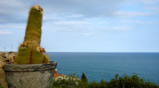  EDUARD RUBIO [Premià de Mar-Barcelona] _ el mediterráneo levanta pasiones 