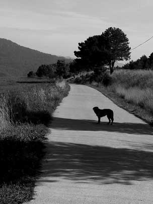  CARME ROURA [St Joan de Vilatorrada-Barcelona] _ él no lo haría 