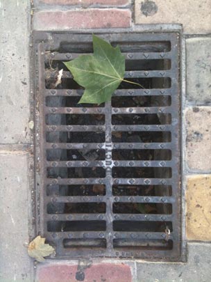  JUAN SEBASTIAN BAENA [Marbella-Málaga] _ el otoño se ha colado ya 