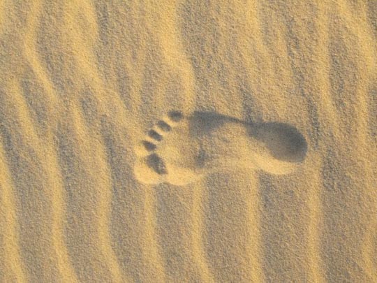  DANIEL BILBAO [Getxo-Bizkaia] _ el paso del tiempo 