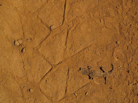  MARTÍN GALLEGO [Badalona-Barcelona] _ el peso del progreso 