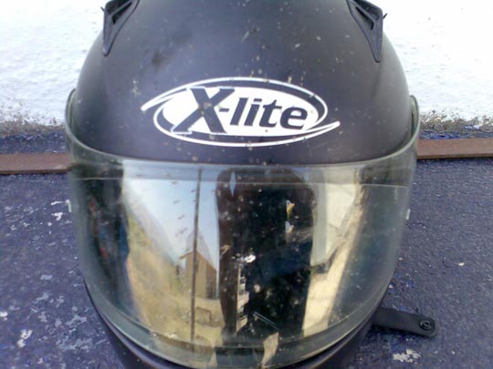  DANIEL BILBAO [Getxo-Bizkaia] _ el señor de las moscas, mosquitos y demás 