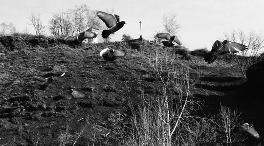  SUSANA FUENTES [Olot-Girona] _ el vol de st. francesc 