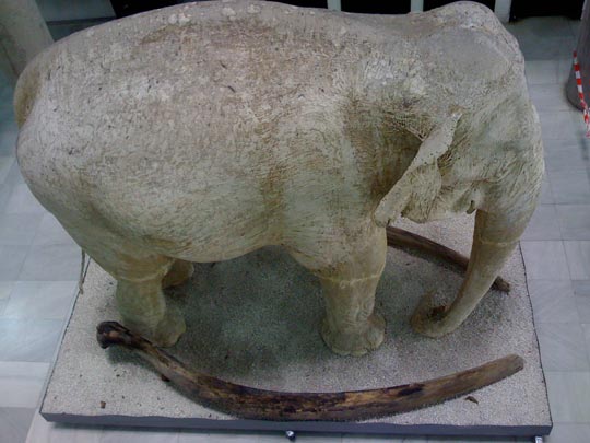  JUAN CARLOS RUIZ [Madrid] _ elefante blanco 