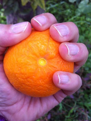  EVA NIETO [Madrid] _ en mis manos 