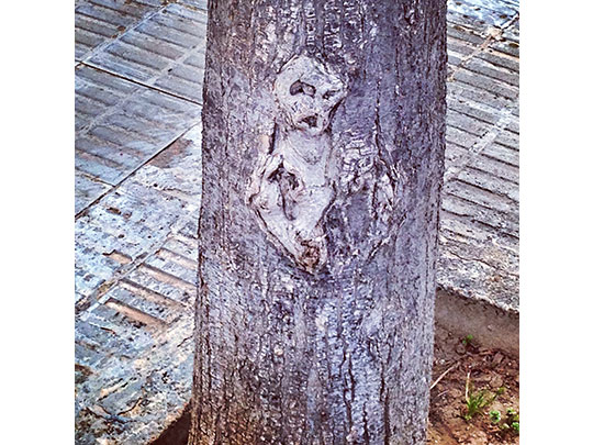  CRISTINA DIÉGUEZ [Sta. Coloma de Gramanet-Barcelona] _ en ocasiones veo cosas 