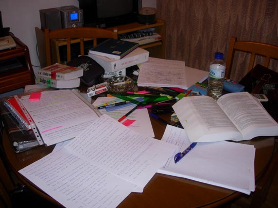  MARIA TURIEL [Madrid] _ enero 