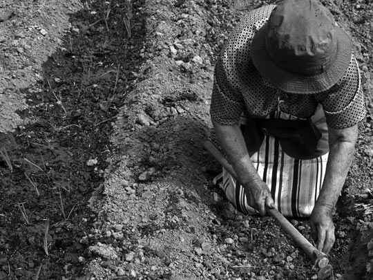  ESTIBALIZ GARCIA [Viana-Navarra] _ enterrando raíces 