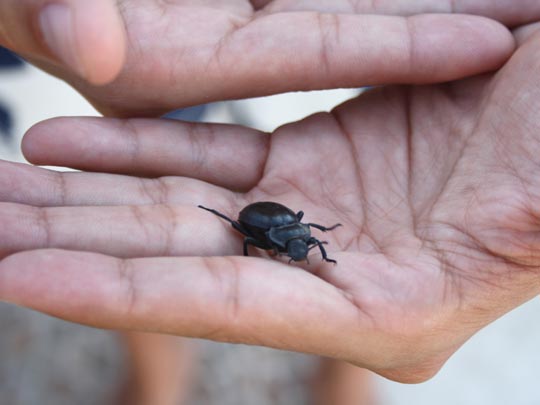  MARTA JIMÉNEZ [Torremolinos-Málaga] _ escapar 