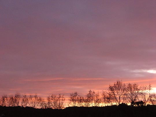  ANA MORALES [Sta. Coloma-Barcelona] _ esperando a la noche 