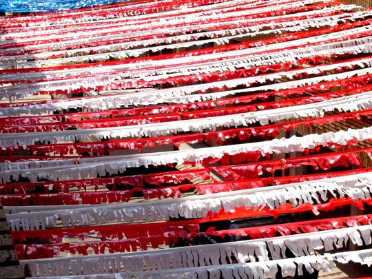  ALBERT RODA [Betera-Valencia] _ fiestas 