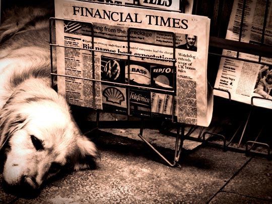  CATHY LÉRIDA [Sabadell-Barcelona] _ financial guau! 