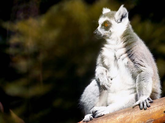  LAURA NOGUÉS [Alicante] _ flipo, nano 