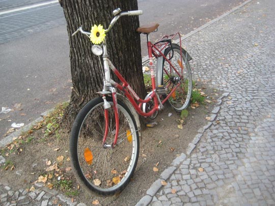  JUAN MANUEL ALVAREZ [Castellón de la Plana-Valencia] _ flor a dos ruedas 