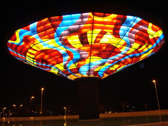  VICENTE CRUZ [Petrer-Alicante] _ flor nocturna 