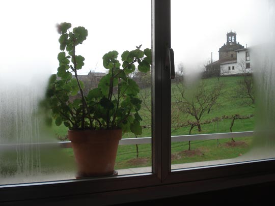  ARIANA SANTAMARIA [Villaviciosa-Asturias] _ frío 