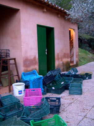  PEDRO ANDREO [Sóller-Illes Balears] _ fuera de lugar 