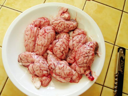  GINÉS LÓPEZ [Sangonera La Verde-Murcia] _ fuga de cerebros, a lo urmeneta 