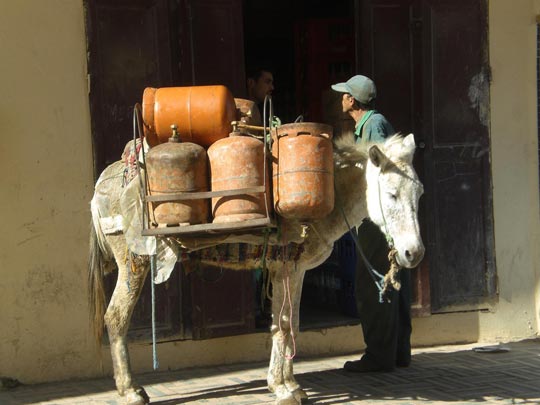  RAQUEL FERRER [Ibiza-Illes Balears] _ gas ciudad 