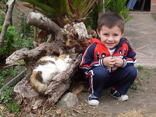  ROCIO NIAMPIRA [Fusagasugá-Colombia] _ gatito 