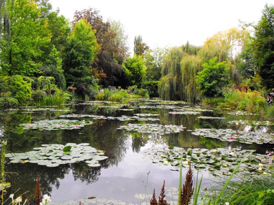  Mª JOSÉ GONZALEZ [Madrid] _ giverny con capturadores 