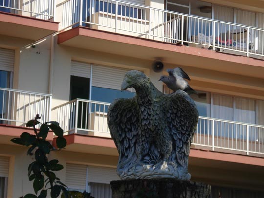  ARIANA SANTAMARIA [Villaviciosa-Asturias] _ hazme caso o me cago en tí 