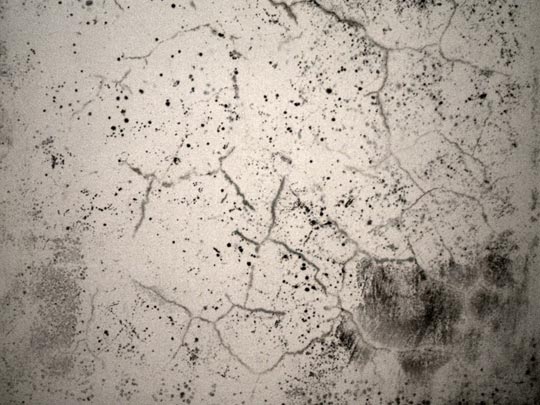  Mª ÁNGELES TRINIDAD [Algeciras-Cádiz] _ hermosa humedad 