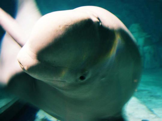  PAULA GARCÍA [Madrid] _ hi 