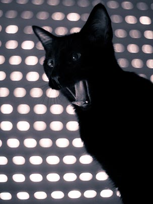  FEDERICO ÁLVAREZ [Ourense] _ histerya 