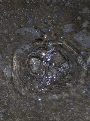  GORKA LARRINAGA [Abadiño-Vizcaya] _ ibiza 