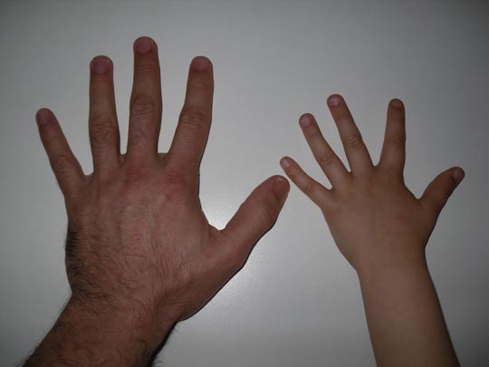  DAVID MARTÍN [Bilbao] _ iguales pero diferentes 