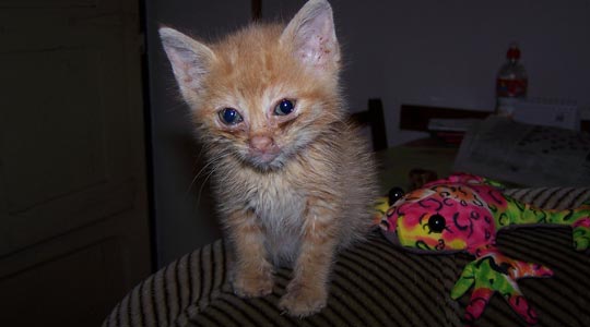  AGAR CASTILLO [Torrelavega-Cantabria] _ infancia difícil 