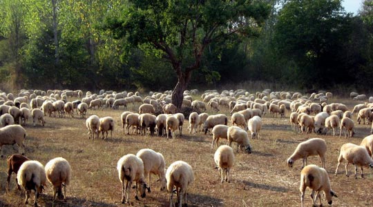  BRIAN BUFON [Torrelavega-Cantabria] _ intentando dormir 