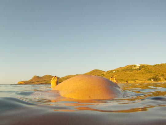  GUADALUPE SÓRIA [Cerdanyola del Vallès-Barcelona] _ isla emergente 