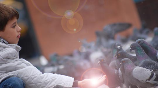  FEDERICO FONTANA [Rosario-Argentina] _ it's magic 