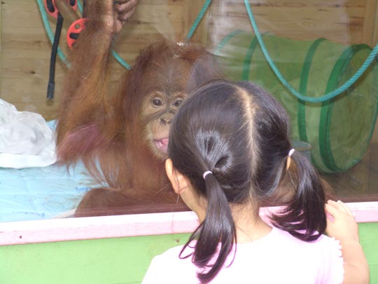  NEKANE VITORIA [Vitoria-Gasteiz-Álava] _ juliana y maite 