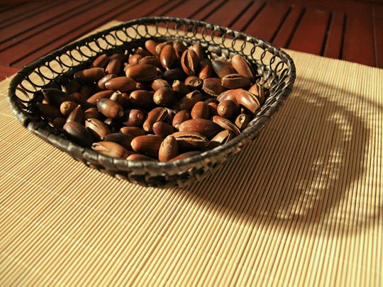  ANA MORALES [Sta. Coloma-Barcelona] _ la delicatessen de los cerdos 