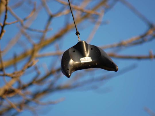  FEDERICO FONTANA [Rosario-Argentina] _ la juventud volverá a leer 