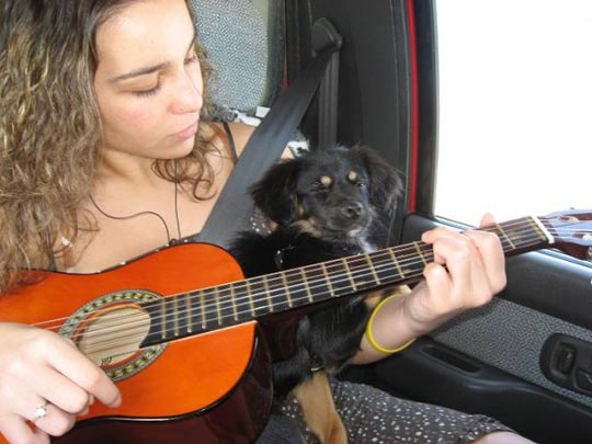  MARIFE ESCRIBANO [Albacete] _ la música amansa a las fieras 