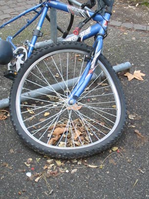  CARMELA LAMAS [Ribadeo-Lugo] _ la otra persistencia de la memoria 