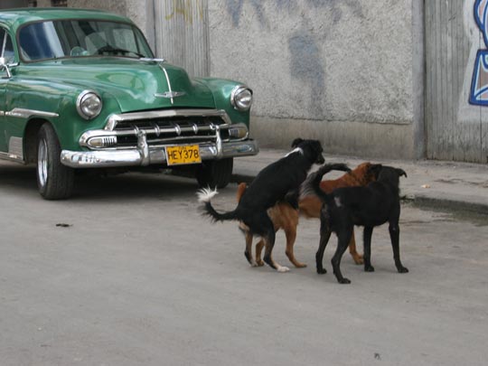  MARISOL PENAS [Carril-Pontevedra] _ la pareja y el mirón 