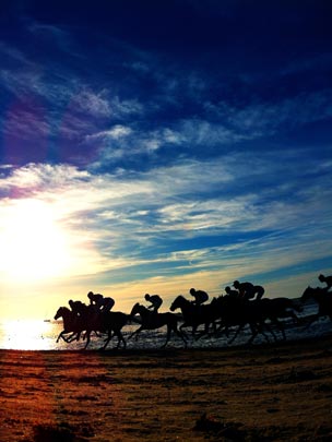  RAUL MARTIN [Cercedilla-Madrid] _ la parte contratante de la primera parte 