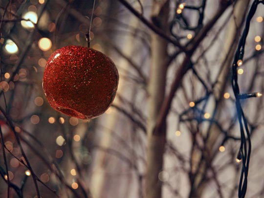  ANA MORALES [Sta. Coloma-Barcelona] _ la tentación navideña 