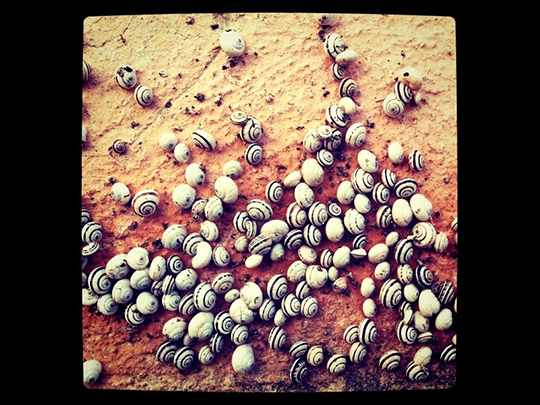  JORDI ALCARAZ [Pamplona] _ la comunidad 