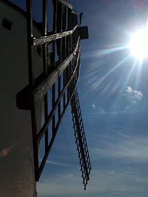  ANGEL MUÑOZ [Alicante] _ la nariz del gigante 