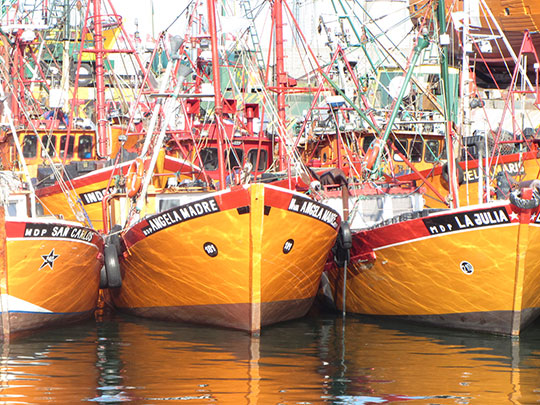  LAURA MERCEDES LOPEZ [Fuengirola-Málaga] _ lanchitas amarillas 